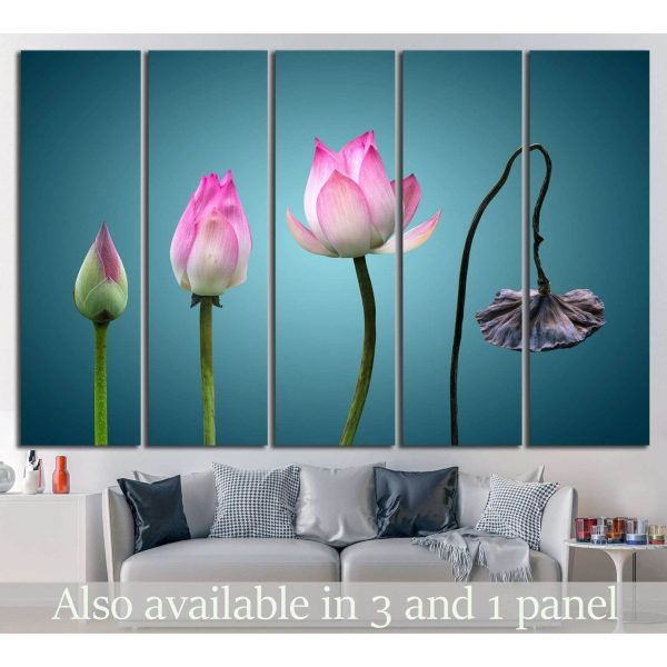 born to death in Buddhism №703 Ready to Hang Canvas Print Cheap