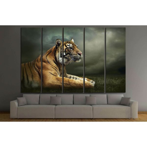 Tiger looking and sitting under dramatic sky with clouds №2347 Ready to Hang Canvas Print Sale - Image 2