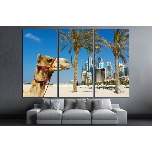 Camel at the urban building background of Dubai. UAE №2224 Ready to Hang Canvas Print Discount - Image 2