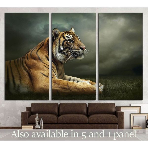 Tiger looking and sitting under dramatic sky with clouds №2347 Ready to Hang Canvas Print Sale