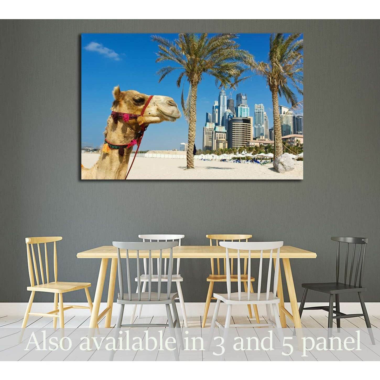 Camel at the urban building background of Dubai. UAE №2224 Ready to Hang Canvas Print Discount
