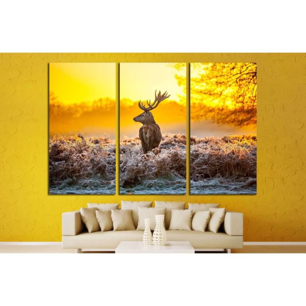 Red deer №2346 Ready to Hang Canvas Print Discount - Image 2