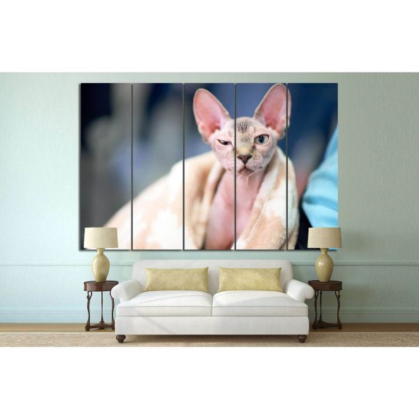 Serious cat №13 Ready to Hang Canvas Print Fashion - Image 3