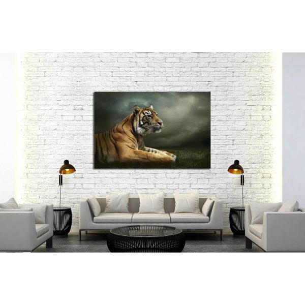 Tiger looking and sitting under dramatic sky with clouds №2347 Ready to Hang Canvas Print Sale - Image 3