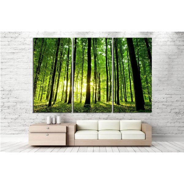 Beautiful green forest №20 Ready to Hang Canvas Print Fashion - Image 2