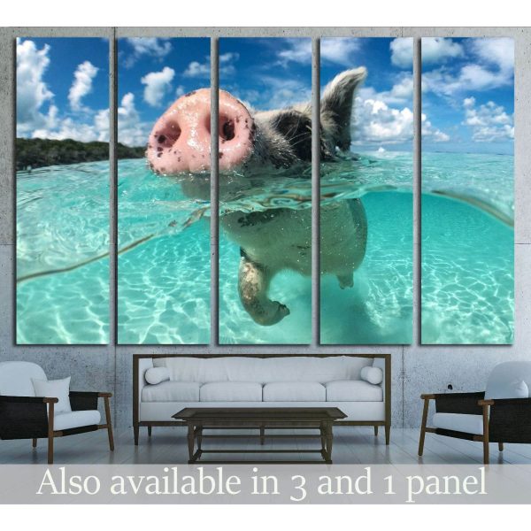 Wild, swimming pig on Big Majors Cay in The Bahamas №2382 Ready to Hang Canvas Print Discount