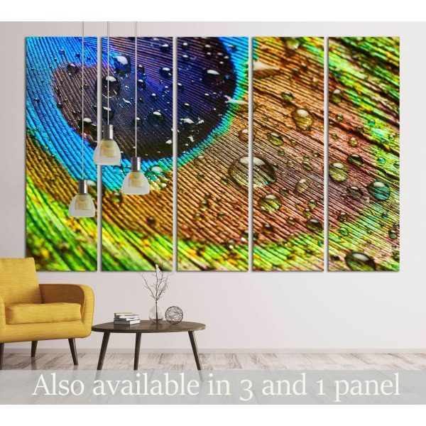 Peacock Feathers №3023 Ready to Hang Canvas Print Hot on Sale