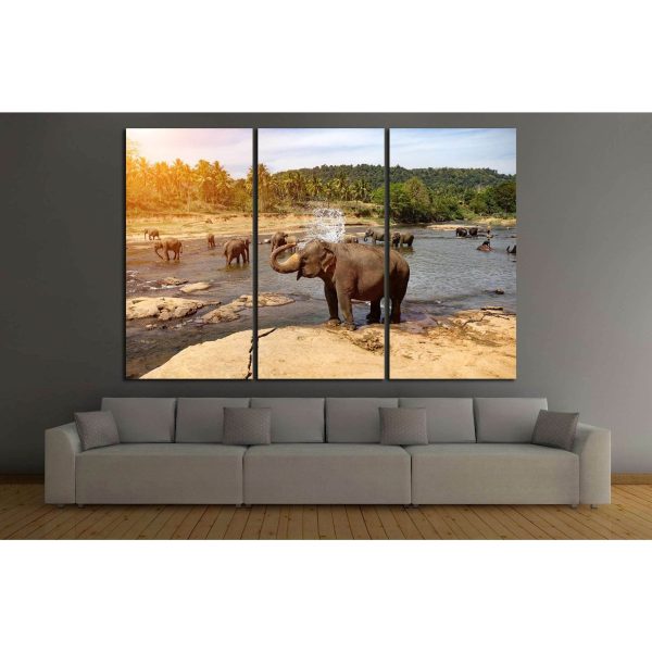 Many Elephants №193 Ready to Hang Canvas Print Fashion - Image 2